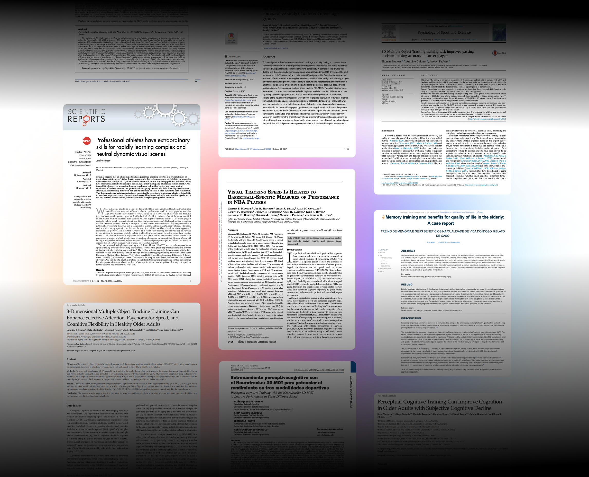 PDF CTA.png